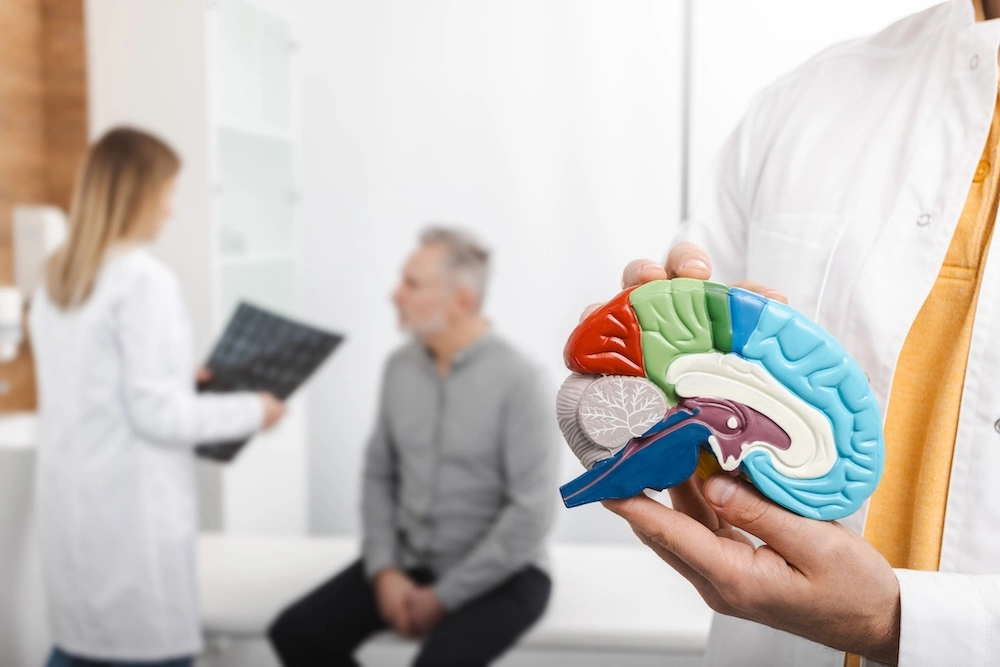 Modello anatomico del cervello in mano a uno specialista, con un paziente sullo sfondo
